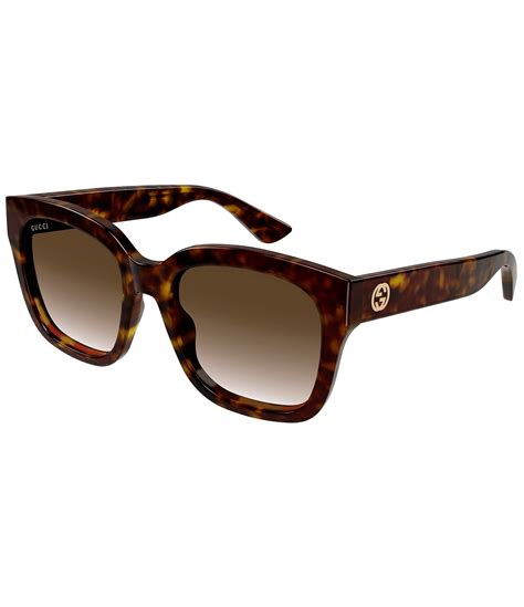 gucci cat eye havana sunglasses|Gucci 54mm cat eye sunglasses.